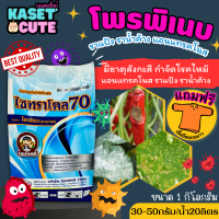 ? แถมฟรีเสื้อ 1 ตัว ไซทราโคล70 (โพรพิเนบ) ใช้ป้องกันและกําจัดโรคพืช เช่น โรคกาบใบแห้ง โรคกาบใบเน่า (1กิโลกรัม)