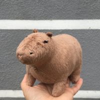 hot！【DT】❁  18cm Fluffty Capybara Stuffed Animals Soft Dolls Real Kids Peluche