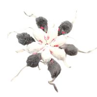 12Pcs False Mouse Pet Toys Long-Haired Tail Mice Sound Rattling Soft Real Rabbit Fur Sound Squeaky Toy