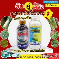 ? ชุดหนอนใบขาว1 ทีเอที คลอร์ฟีนาเพอร์+นูดิโลทริน2.5 ขนาด 1ลิตรx2ขวด กำจัดหนอนใบขาว หนอนกัดใบ