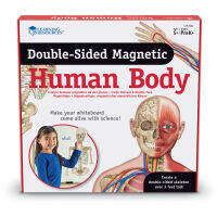 [5 ขวบ+] DOUBLE-SIDED MAGNETIC HUMAN BODY DEMONSTRATION SET  แผ่นภาพแม่เหล็กจำลองร่างกายมนุษย์เสมือนจริง