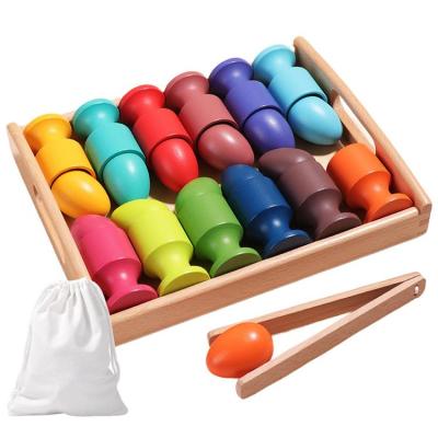 Montessori Egg Cup Color Sorting Toys Parent-Child Interactive Early Learning Toy to Improve Hands-on Ability Montessori Educational Toys for Boys and Girls diplomatic