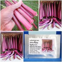 เมล็ดพันธุ์ กระเจี๊ยบ โอกินาว่า Okinawa Pink Okra Seed 15 เมล็ด คุณภาพดี ราคาถูก ของแท้