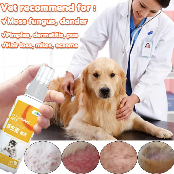 100MLgamot sa galis ng aso dog medicine for skin disease wound spray for  dogs mange treatment