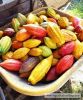 Bột cacao criollo hữu cơ peru nguyên chất 2 gói - ảnh sản phẩm 2