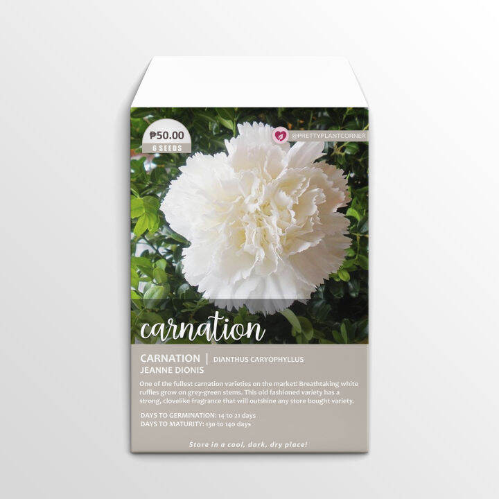 Jeanne Dionis Carnation Seeds Lazada PH