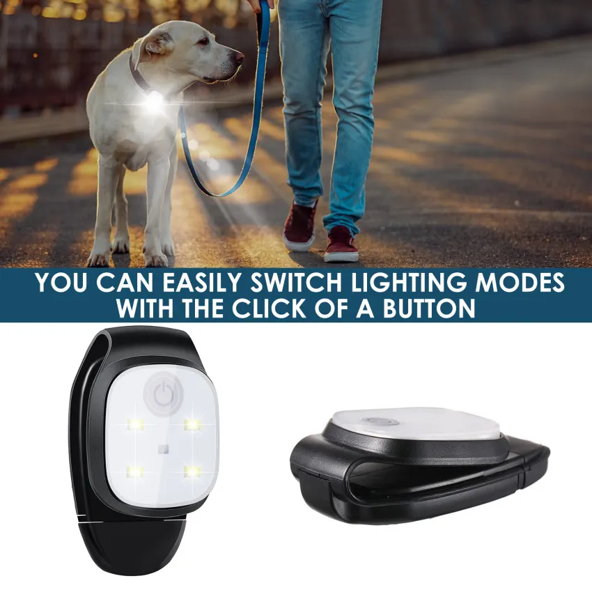 Running Light for Night Dog Walking Jogging, Bright LED Safety R Import