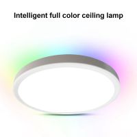 12 Inch 28W RGB+3CCT LED Ceiling Light 85V-265V 3000K/4000K/6500K Three-Tone Light Bedroom Study Balcony Ceiling Light