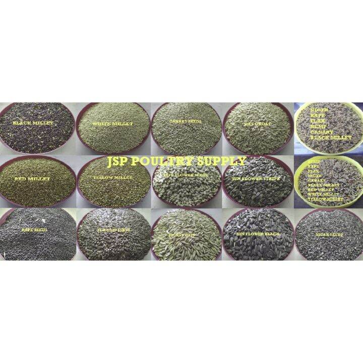 Premium seeds! African Mix Canary Mix Sunflower Safflower Bird Seed Red