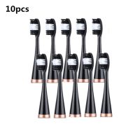 ZZOOI New 10pcs Replacement Brush Heads For Sonic Electric Teeth Whitening Device Teeth Cleaner Remove Dental Calculus