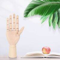 18*6Cm Wooden Articulated Right Hand Manikin Model Gift Art Alternatives