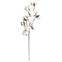 【DT】 hot  Simulation Flower 10 Natural Cotton Branches Manufacturers Home Decoration Wedding Bouquets Plant Flower Wall Fake Flowers