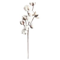 Simulation Flower 10 Natural Cotton Branches Manufacturers Home Decoration Wedding Bouquets Plant Flower Wall Fake Flowers Artificial Flowers  Plants