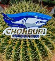 ชลบุรี FC โลโก้  CHONBURI FC.เหล็กตัดเลเซอร์ขนาด 18 cm.ทำสีเหมือนจริงใช้สีพ่นรถยนต์ 2k สีพ่นรถยนต์ภายนอกสวยงามคงทนทนแดดทนฝนขนาดพกพาติดตั้งง่าย