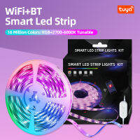 ชุดไฟประดับบ้านควบคุมด้วยเสียงแอพมือถือแบบปรับแสงได้มีการเชื่อมต่อ Wi-Fi RGB ริ้วสายไฟเชื่อมต่อ Wi-Fi อัจฉริยะ