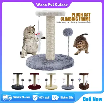 Harga cat clearance tree