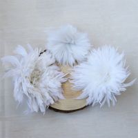 ♧ Rooster Chicken Tail Feathers Feather Rooster Tail Pcs 100 - White Rooster Chicken - Aliexpress