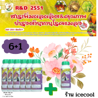 6 ขวด - RD2551 สารเสริมพืชชนิดโปรตีนอะมิโน บำรุงพืช  ปลอดภัยไร้เคมี  (ฟรี 1 ขวด)