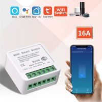 【CW】 16A 2 Way Tuya Wifi Support Timing Group