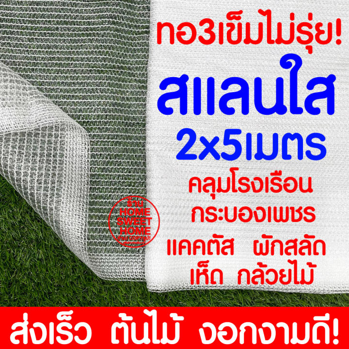 สแลนใส-สแลนสีใส-2x5เมตร-สแลนขาว-คลุมโรงเรือน-โรงเรือน-แคคตัส-เห็ด-กระบองเพชร-ผักสลัด-ตาข่ายกรองแสง-สแลนกรองแสง-พลาสติกโรงเรือน-โรงเรือน