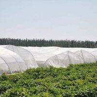 【CW】 Crop Protection Net Vegetables Fruit Flowers Greenhouse Garden Encryption Insect DRSA889