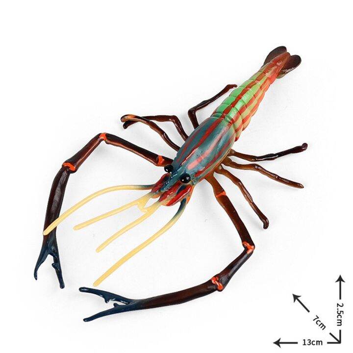 Giant River Prawn Marine Animal Model Shrimp Collector Decor Figure Kid