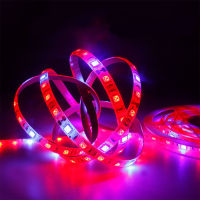 LED Grow Light Full Spectrum 1M-5M LED Strip 5050 UV IR ดอกไม้พืช Phyto Growth โคมไฟสำหรับเรือนกระจก Hydroponic ปลูกพืช