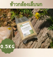 ?ข้าวเล็บนก ?ขนาด 500 กรัม? ข้าวเพื่อสุขภาพ ทดลองทาน ของฝาก ของชำร่วย ?ปลอดสาร จากเกษตรกรบ้านหน้าวัง จ.พัทลุง