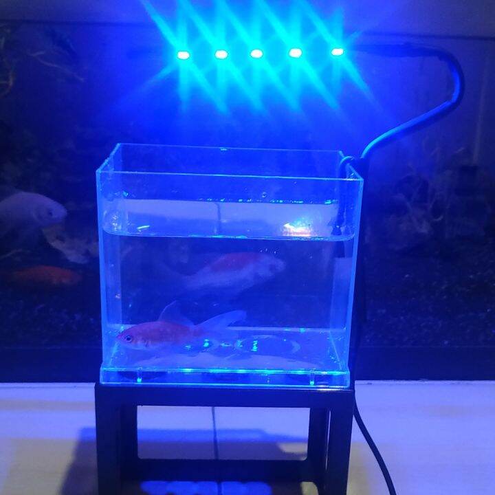 Lampu Aquarium Mini 5 Mata Led Smd Biru Lampu Soliter Cupang Ikan Hias