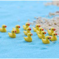 เป็ดเหลืองจิ๋ว Little yellow duck สำหรับตกแต่งสวนขวด สวนถาด