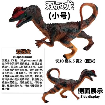 Simulation dinosaur toy suit overlord triangle brachiosaurus boy toy dinosaur model animal model