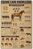 Wanghuilishop Equine Care Knowledge โลหะดีบุกป้าย Horse Conformation Home Cabin Club Shop Bar ป้ายโรงรถ Cafe Farm Wall Decor