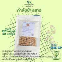 กำลังช้างสาร ขนาด 50 / 100 แคป (1pcs : 500mg.) สมุนไพรไทยแท้ 100% พร้อมส่ง (Suan Khrua Thai)