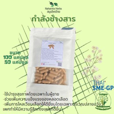 กำลังช้างสาร ขนาด 50/100 แคป (500mg/1cap.) บำรุงกำลัง บำรุงสมรรถภาพ (กันเองสมุนไพร)