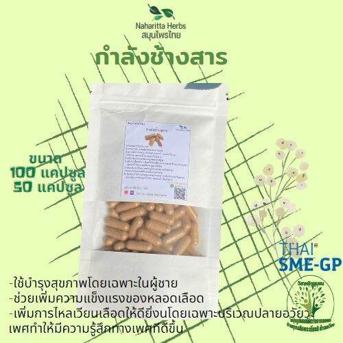 กำลังช้างสาร-ขนาด-50-100-แคป-500mg-1cap-บำรุงกำลัง-บำรุงสมรรถภาพ-กันเองสมุนไพร