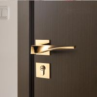 Modern Shiny Gold Interior Door Handle Lock Hardware For Interior