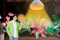 Bioenergys หลอดไฟปลูกพืชด่าง เร่งพืชใบด่าง กัญชง ต้นไม้ในร่มต่างๆ Grow Light LED 20 วัตต์