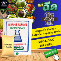 ผงจุลธาตุเหล็ก Ferous Sulfate Heptahydrateบรรจุ 1 (แบ่งบรรจุมาจากกระสอบใหญ่)