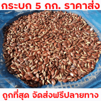 เม็ดกระบก 5กก. 600บาท ส่งฟรี!! กระบก ตากแดดแห้งสนิท คุณภาพ คัดเกรด