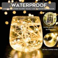 แบตเตอรี่ LED S Tring นางฟ้าไฟคริสต์มาสพวงมาลัย5เมตร50LED10เมตร100LED การควบคุมระยะไกลกันน้ำวันหยุดงานแต่งงานตกแต่ง