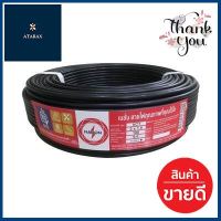 สายไฟ NATION รุ่น 60227 IEC 53 VCT2x1.5 Sq.mm 100 ม. ขนาด 100 ม. สีดำ **โปรโมชั่นสุดคุ้ม โค้งสุดท้าย**