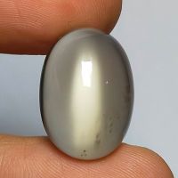 พลอย หลังเบี้ย มูนสโตน มุกดาหาร สีเทา ธรรมชาติ ดิบ แท้ ( Unheated Natural Moonstone ) 17.06 กะรัต