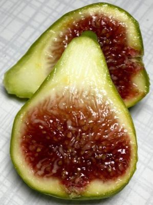 10 เมล็ด เมล็ดมะเดื่อฝรั่ง Figs สายพันธุ์ Bayer Violeta ของแท้ 100% มะเดื่อฝรั่ง หรือ ลูกฟิก (Fig) อัตรางอก 70-80% Figs seeds มีคู่มือวิธีปลูก