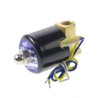 【hot】℗✠  1/4  BSPP Bore 2.5mm 12VDC 24VDC 110VAC 220VAC Methane Propane 2 Ways Solenoid Connection Gas Air