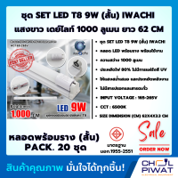 IWACHI หลอดไฟนีออนพร้อมราง LED T8 9 W ชุดหลอดไฟพร้อมราง LED โคมไฟ LED หลอดไฟ LED ฟลูเซ็ท LED โคมไฟสำเร็จรูป T8 9 W (ขาบิดล็อก) แสงสีขาว (DAYLIGHT) (แพ็ค 20 ชุด)