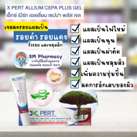 X PERT Allium Cepa Plus Gel ผลิตภัณฑ์ดูแลผิวเจลลดรอยแผลเป็น รอยดำ รอยแดง ลดการอีกเสบ เติมเต็มริ้วรอย และหลุมลึก สารสกัดเลือดมังกร Dragon blood 10 g.