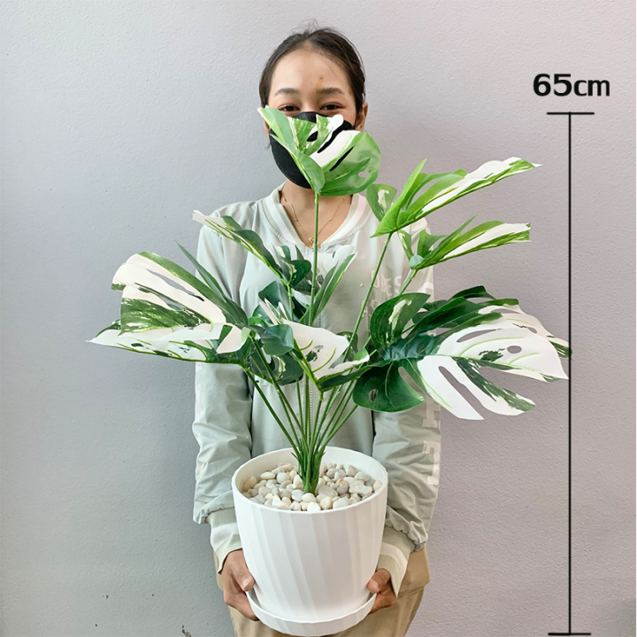 plants-center-พร้อมส่ง-p005-ต้นไม้ปลอม-monstera-มอนสเตอร่าด่าง-ตกแต่งบ้าน-แต่งสวน-ส่งที่ไทยค่ะ-ต้นไทรใบสักเสม-12ใบ-สูง65cm-18ใบ-สูง85cm