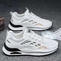 Fashion Men Sneakers Mesh Casual Shoes Lac-up Men SportsShoes Lightweight Vulcanize Shoes Walking Sneakers Zapatillas Hombre