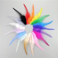 50Pcs/Lot 10-15cm Colored Pheasant Feathers for Crafts Catcher Plumes Decoration Wedding Accessories