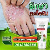 [ของแท้ ส่งฟรี!!] ครีมพลูคาว พลูคาวพญายอ Plu kow Cream 40ml. Plukow ครีมพญายอ ครีมสมุนไพร 1 หลอด